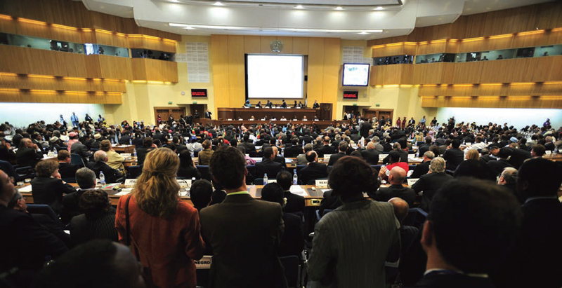 Exhibitions in 2021/2 – an IFES global outlook